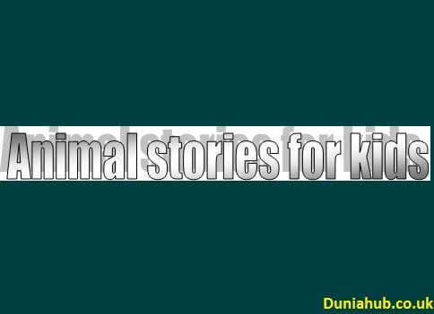 Animal stories for kids